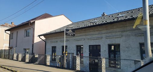 Alessys Center