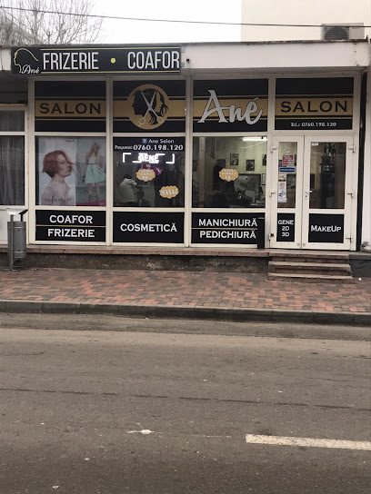 Ané Salon