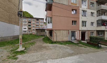 Coafor Moldovan Famili SNC