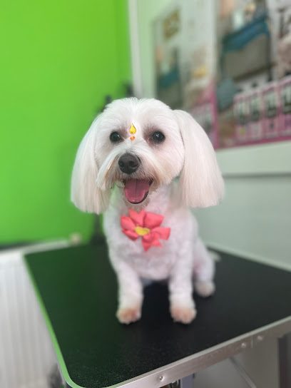 Cori & Cera - Cosmetică Canină