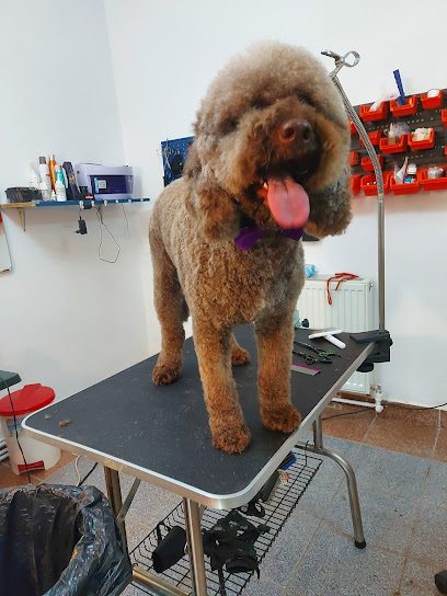 DONA - Coafor Canin