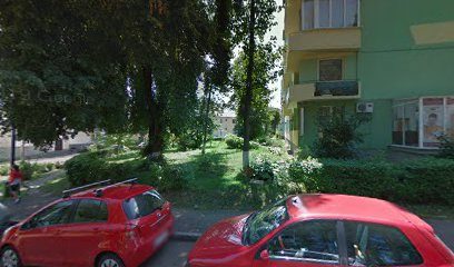 Elia Studio