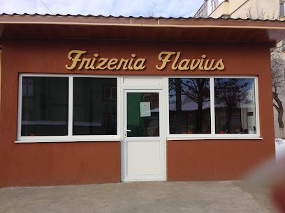 Frizeria Flavius