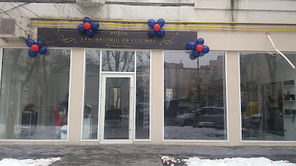Laboratorul De Culoare