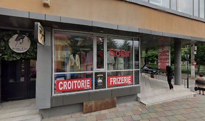 Luminița Harambasa