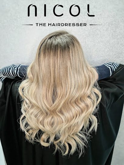 Nicol - The hairdresser