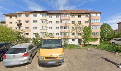 Rogvaiv