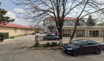 Saloanele For You