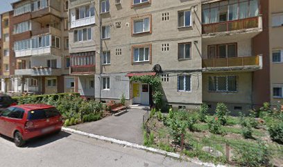 Salon Daniela Crișan Style