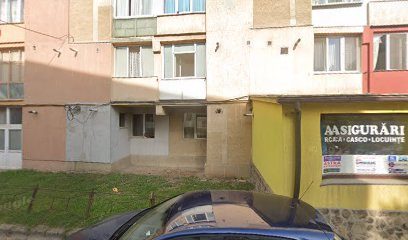 Salon Erika Grecu