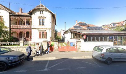 Salon Senza Solaris International