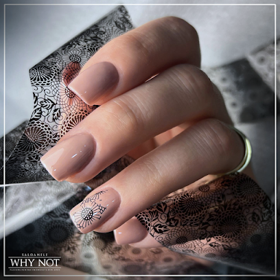 Salon Why Not - Drumul Taberei