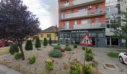 Serenity Studio Arad