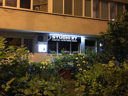 Studio 37 Coafor/Intretinere Unghii