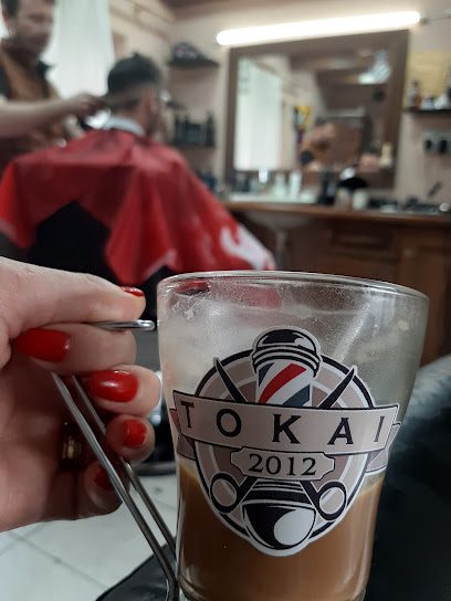 Tokai Sandor