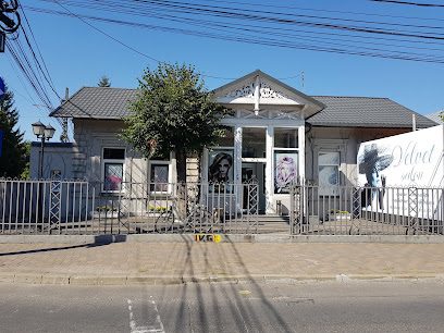 Velvet Salon