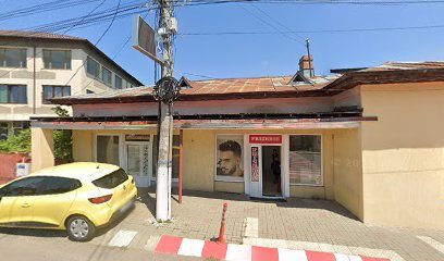 Voicu Cătălina PFA
